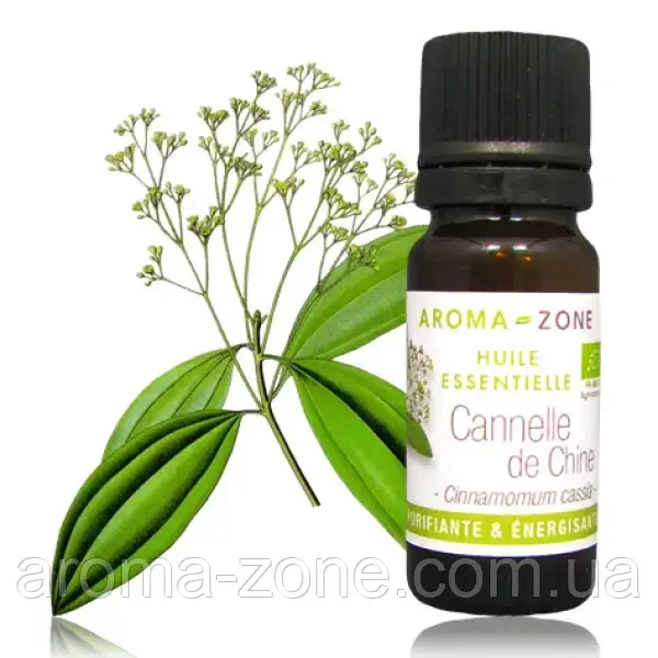 Ефірна олія Китайська кориця (Cinnamomum cassia) BIO Об'єм: 10 мл