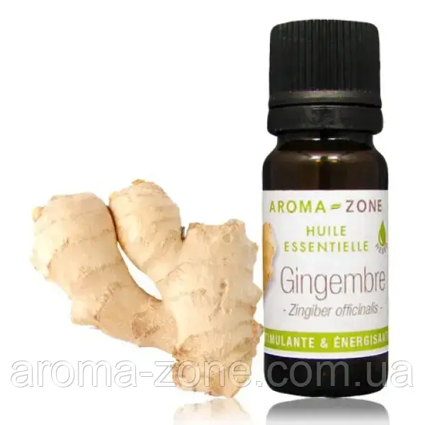 Імбир (Zingiber officinalis) Об'єм: 10 мл
