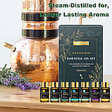 Великий Подарунковий набір Натуральних Ефірних Масел Оригінал 35 шт Premium Essential Oils MAYJAM, фото 6