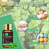 Великий Подарунковий набір Натуральних Ефірних Масел Essential Oils Premium Оригінал Подарунок Аромадифузор, фото 7