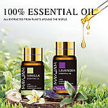 Подарунковий набір Аромадіфузор та Ефірні Масла 28 шт Premium Essential Oils MAYJAM, фото 8