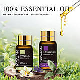 Великий Подарунковий набір Натуральних Ефірних Масел Оригінал 35 шт Premium Essential Oils MAYJAM, фото 8