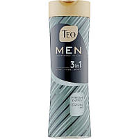 Шампунь Teo Beauty Men 3 In 1 Shampoo Fresh Energy 350 мл (3800024046766)