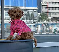 Рубашка для собак Гуччи Розовая