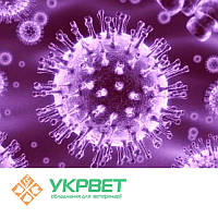 ІФА тест-система IDVet для виявлення антитіл до бичачого герпесу 4 типу (BHV-4)