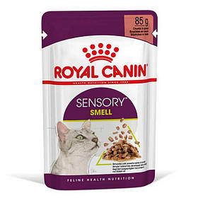 Royal Canin SENSORY SMELL GRAVY консерви для котів вибагливих до аромату