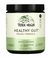 Terra Origin, Healthy Gut, для здоровья кишечника, веганская формула, 246,6 г (8,7 унции)