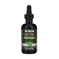 Хлорофіл Nature's Way Chlorofresh Chlorophyll Drops 59 ml