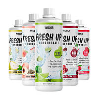 Weider Fresh Up Concentrate 1:80 1 l гіпотоніки до тренування