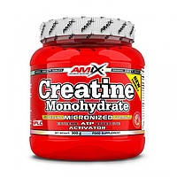 Моногидрат креатин Amix Creatine Monohydrate 300 g