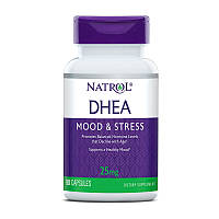 Natrol DHEA 25 mg 90 caps дегідроепіандростеророн dehydroepiandrosterone dhea підвищення тестостерону