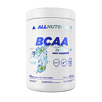 AllNutrition BCAA Instant Max Support 500 g watermelon blueberry