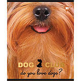 Зошит А4 48 аркушів клітинка скоба Yes "Pets Club" мат. ВДЛ+фольга срібло, фото 2