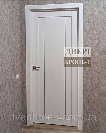 Двері BTDOORS Ультра, фото 2