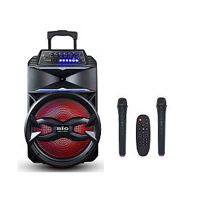 Автономна колонка BIG BIG310BAT USB/MP3/FM/BT/TWS + 2pcs VHF mic