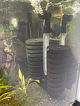 Фільтр аерліфтний, AQUAXER Filter Airlifting Double XL., фото 6