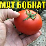 Томат Бобкат F1, насіння 10 шт, фото 6