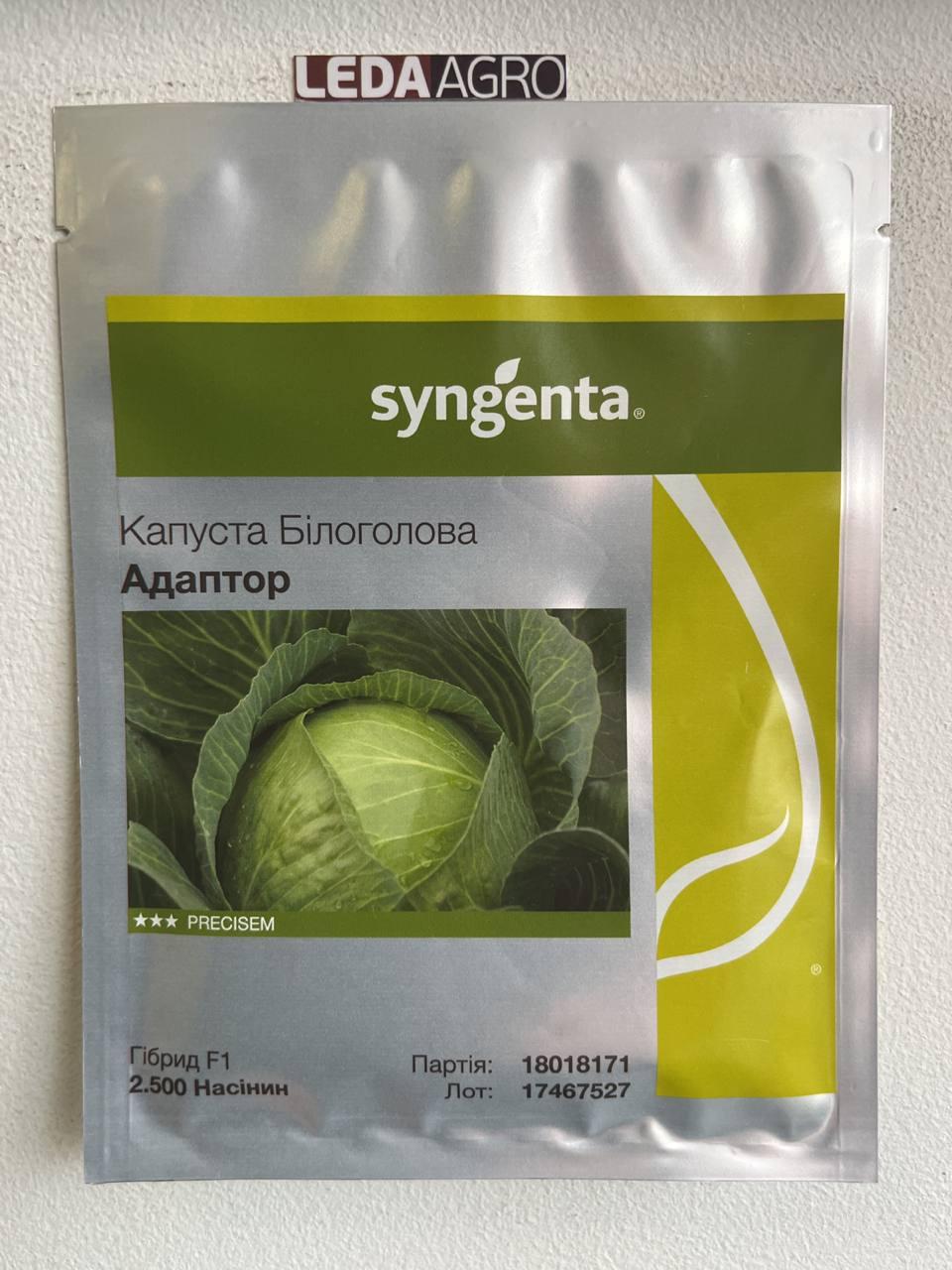 Адаптор F1 2500 шт Syngenta Капуста Білокочанна Насіння (Капуста Білокачанна Насіння)