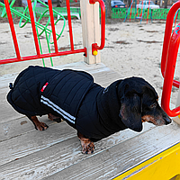 Одяг для собак такс тепла зимова куртка жилет попона плащ на таксу Buonaparte