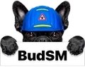 BudSM Интернет-магазин стройматериалов в Киеве