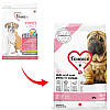1st Choice Puppy Skin and Coat - Сухий суперпреміум корм для цуценят всіх порід (ягня та риба) 11 кг, фото 3