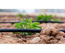 Крапельна стрічка щілинна Grain Drip 7 mill 10 см 1000 м 1.38 л/год, фото 2