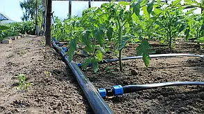 Крапельна стрічка щілинна Grain Drip 6 mill 10 см 3000 м 1.1 л/год, фото 5