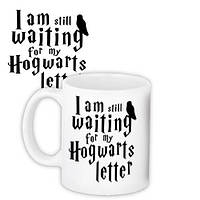 Чашка з принтом I am still waiting for my Hogwarts letter 330 мл (KR_22S009)