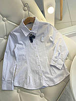 Нарядная белая школьная блузка в горошек 2831 Blueland, Белый, Девочка, Весна Осень, 5 лет