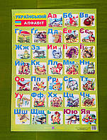 Плакат 70*50 Алфавіт Український (друкований) Підручники і посібники