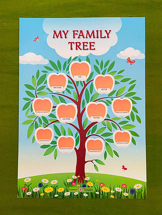 Плакат, My family tree, Дерево мого роду, Бучковська О, Підручники і посібники, фото 2