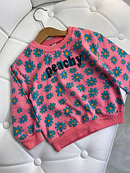 Кофта світшот для дівчинки у зелені квіти Рожева Q-8018 6, Розовый, Для девочек, Весна Осень, 5 , 2 года