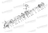 Запчастини для насосів і насосних станцій Pedrollo, фото 3