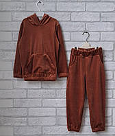 Детский костюм на девочку (кофта с капюшоном + штаны), трикотажный спортивный комплект велюр (кофта + штаны) 110
