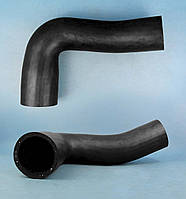 Шланг радіатора нижній - Massey Ferguson (3618641M1)