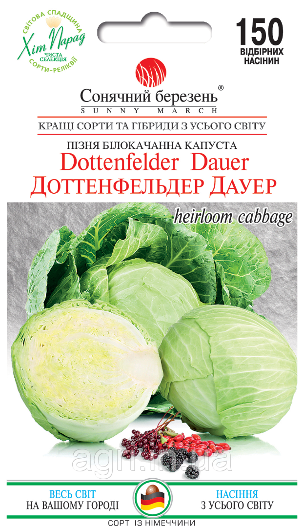Капуста Доттенфельдер Дауер, 150 шт. (пізня)