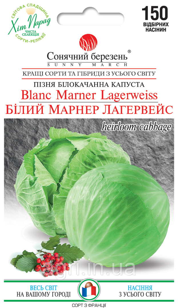 Капуста Білий Марнер Лагервейс (пізня), 150шт.