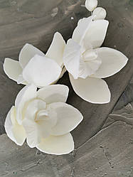 Гілочка орхідеї No1 Моно біла