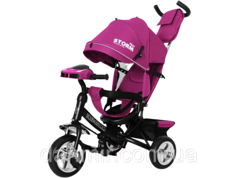 Велосипед дитячий триколісний Фіолетовий TILLY STORM T-349/2 з металевою рамою