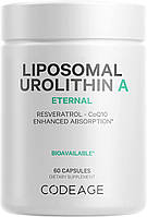 Codeage Liposomal Urolithin A / Уролітин A Збільшення клітинної енергії 60 капсул