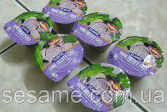 Цукерки "New Choice" фруктове желе асорті із соком і шматочками фруктів у пакеті. 500 г (В'єтнам)