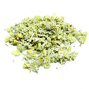 Лимонник кримський (татар чай, чабан чай, залізниця кримська) (пак/50 грамів)