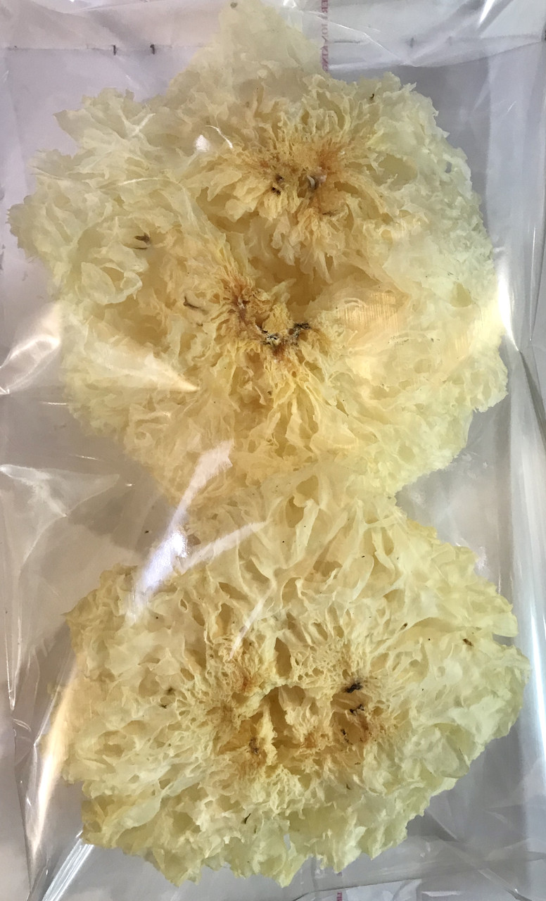 Коралловый гриб, снежный гриб Фунгус NAM TUYET 70грамм (Вьетнам) - фото 2 - id-p1819857372