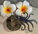 Серебристый кулон- брошка  с натуральным аммонитом, фото 5