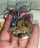 Серебристый кулон- брошка  с натуральным аммонитом, фото 10