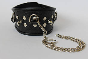 Нашийники та повідці