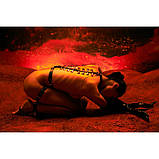 Окови БДСМ з італійської шкіри чорного кольору та золотистої фурнітури Upko Butterfly cuffs Кайф, фото 8