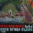 Iron And Wine — Kiss Each Other Clean 2011 (Cad-3103) 4Ad/EU Mint Вінілова пластинка (art.239231), фото 5