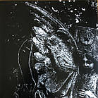 Katatonia – City Burials 2 LP Set 2020 (Vilelp860) Peaceville/EU Mint Виниловая пластинка (art.238448), фото 5