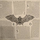 Ozzy Osbourne — Ordinary Man 2020 (19439718451) Epic/EU Mint Вінілова пластинка (art.237950), фото 5